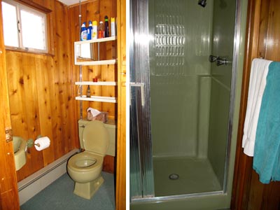 Downstairs bathroom